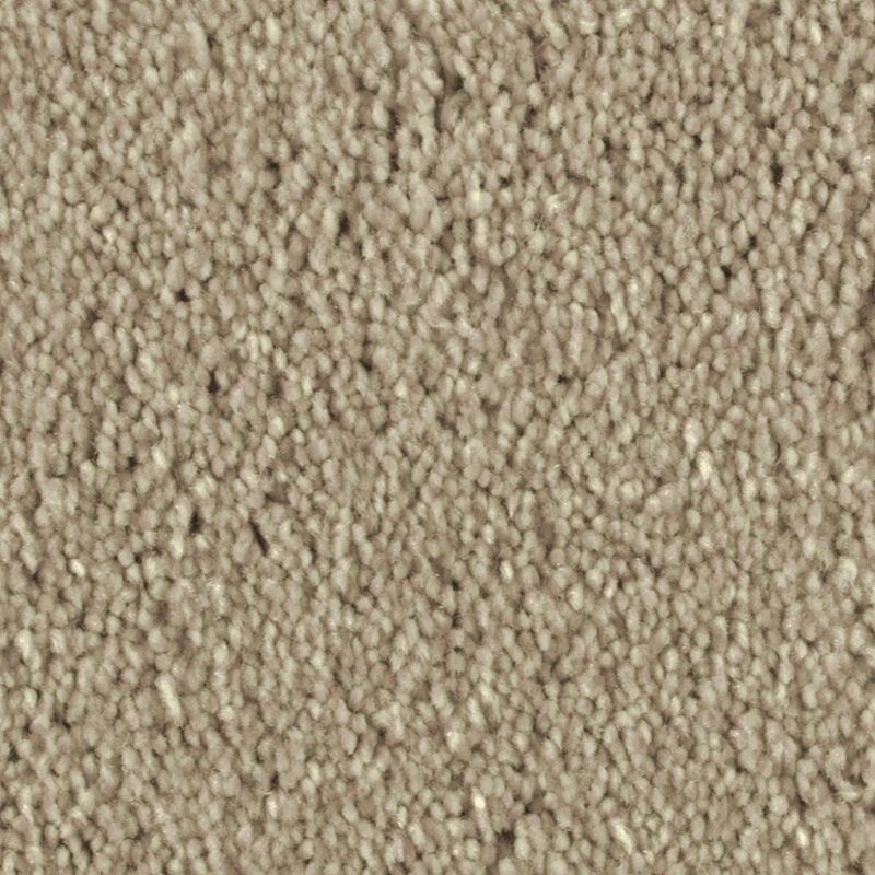 Distinct Beauty Ii Dunedrift Polyester Carpet - Textured