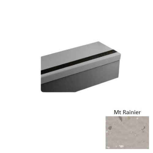 Johnsonite Mt Rainier Hammered Rubber Stair Tread
