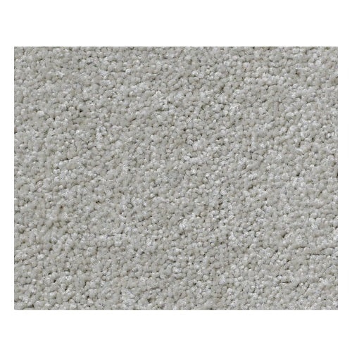 Trout Creek Reflection Nylon Carpet - Textured