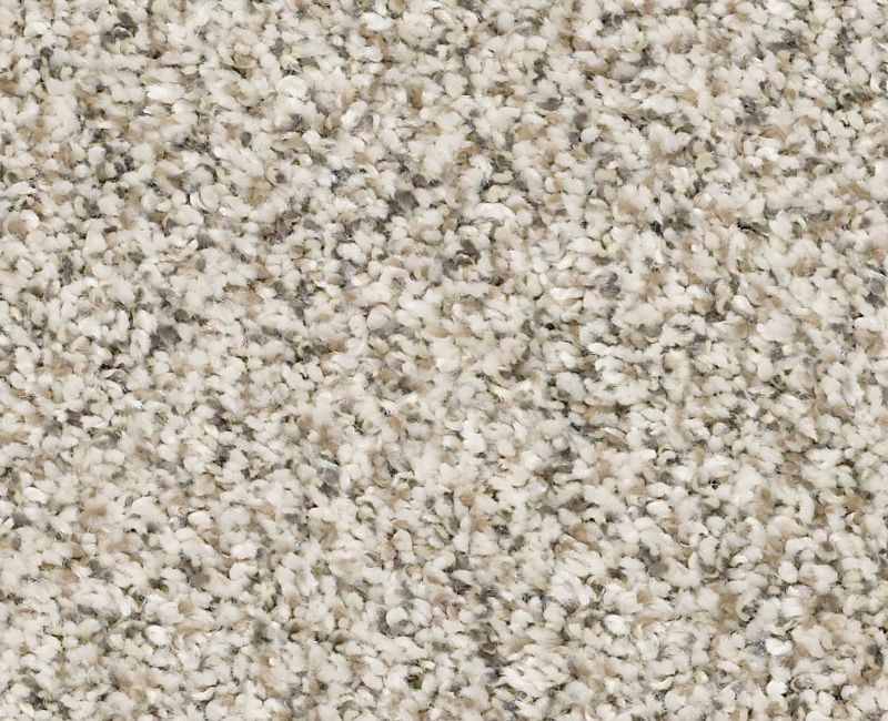 Watts Up Ii Goose Feather Polyester Carpet - Textured