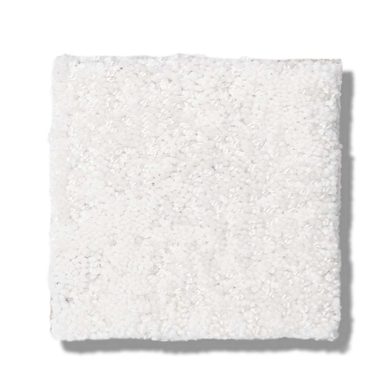 Caress By Shaw Artistic Presence Snowfall Nylon Carpet