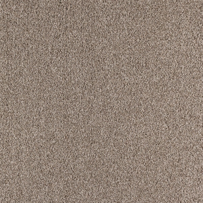 Paramount Highland Polypropylene Carpet - Textured