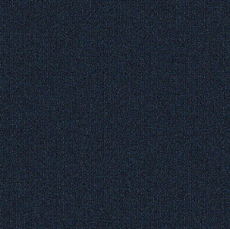 Rule Breaker Navy Polyester Carpet - Loop