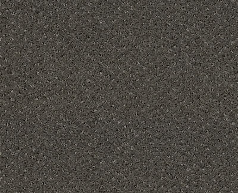 Meaningful Design Graphite Nylon Carpet - Loop
