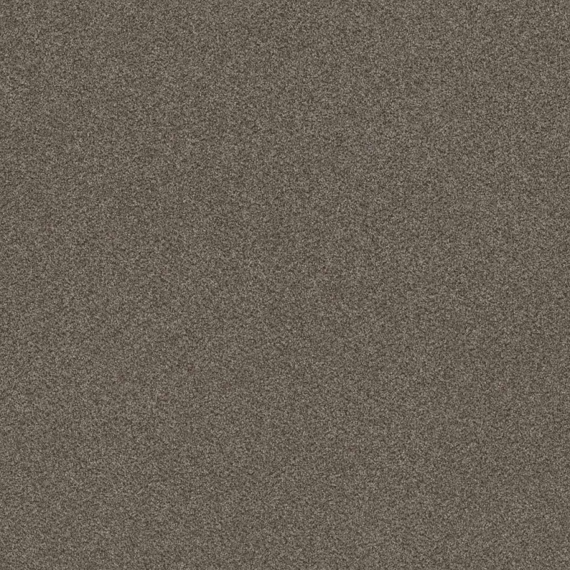 Simply The Best Without Limits III Boardwalk Polyester Carpet