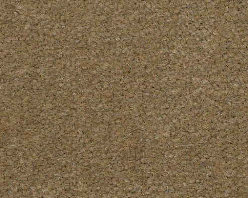Emphatic Ii 30 Olive Twist Nylon Carpet - Textured