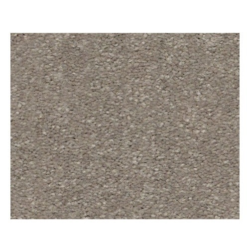 Topanga Beach Ii Smooth Taupe Polyester Carpet - Textured