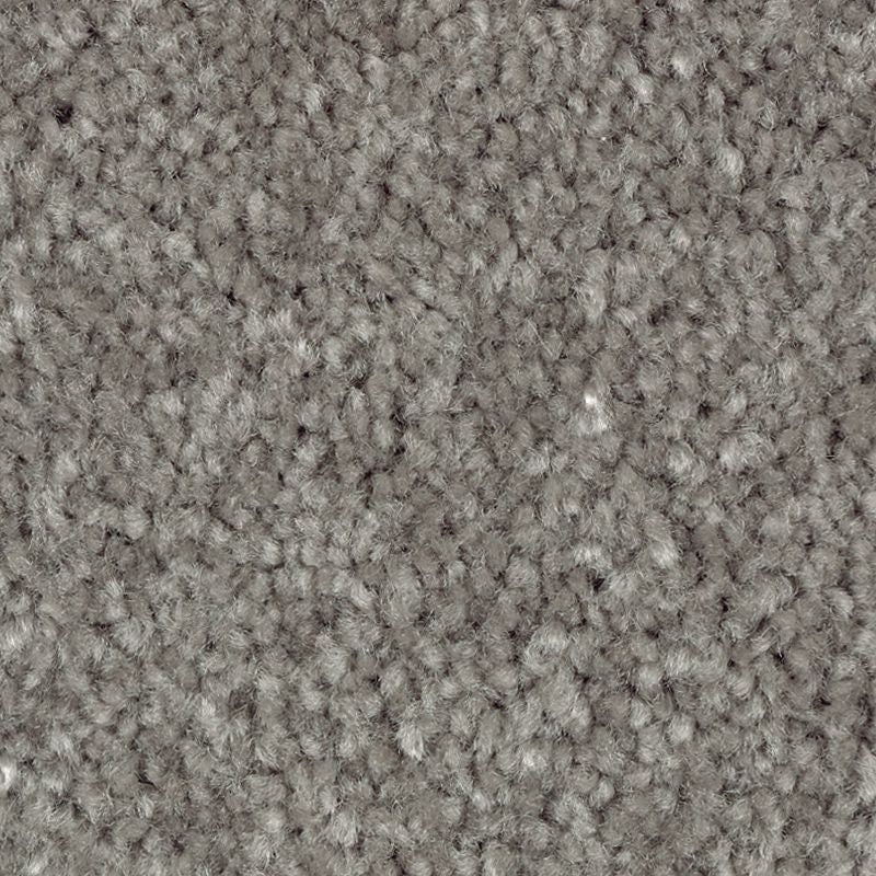 Classical Design Iii Thundercloud Triexta Carpet