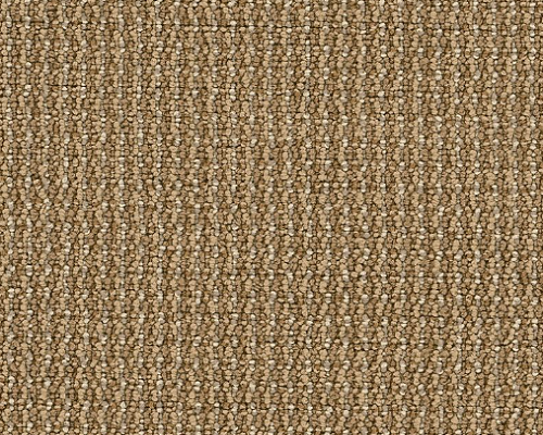 Dateline Today Spotlights Nylon Carpet - Loop