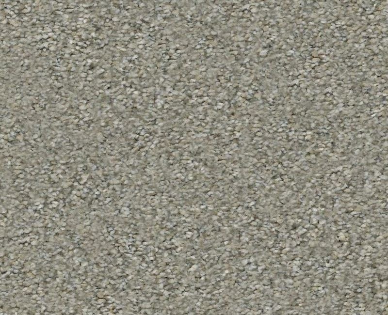 Simply The Best Boundless I Dreamscape Polyester Carpet - Textured