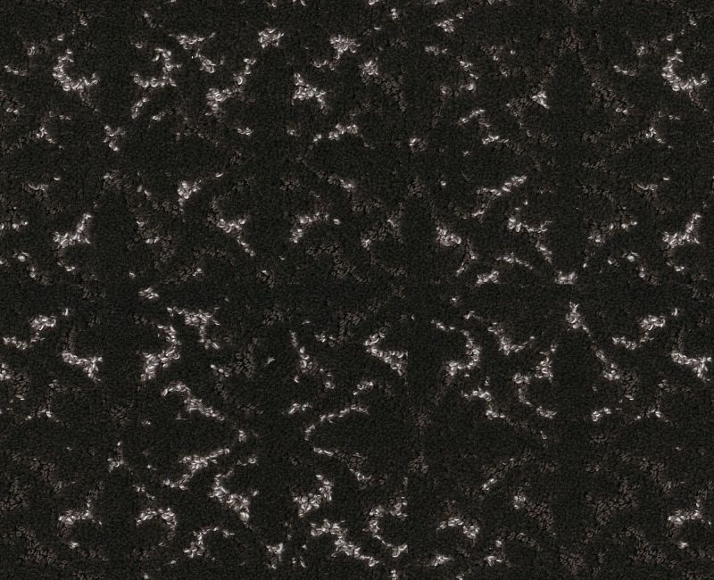 Light Humor Cafe Noir Polyester Carpet - Pattern