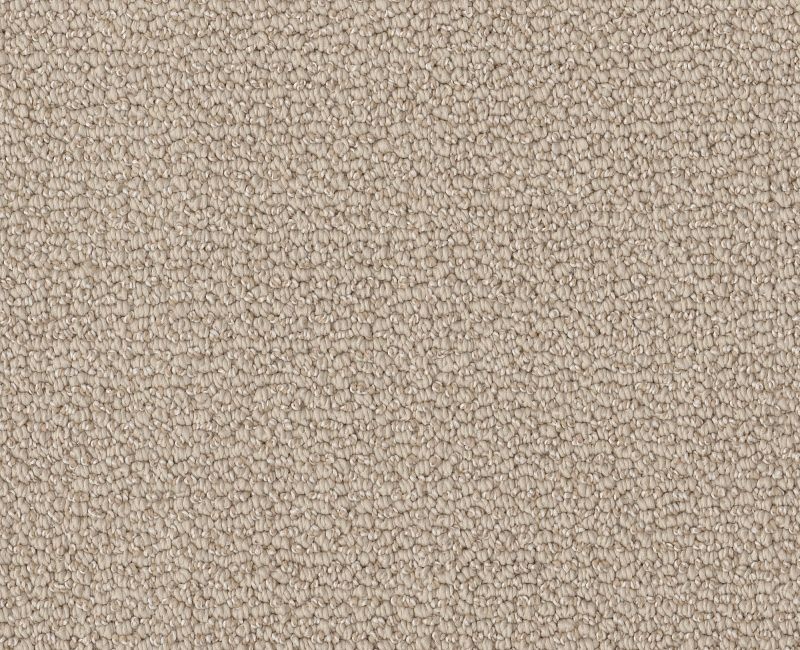 Devious Look Malibu Dune Polyester Carpet - Textured