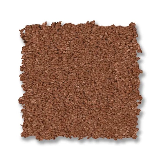 Enduring Charm Clay Nylon Carpet - Textured