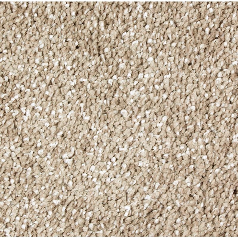 Exquisite Shades English Toffee Triexta Carpet