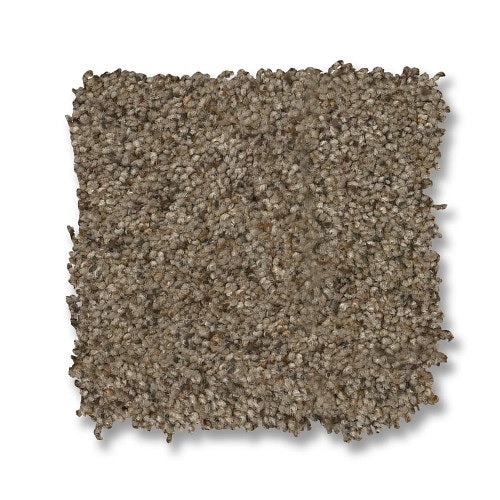 West Peak Morning Blend Nylon Carpet - Textured