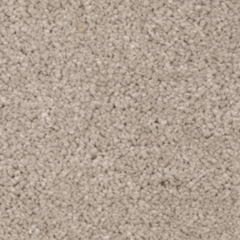 Natural Splendor I Overcast Triexta Carpet - Textured