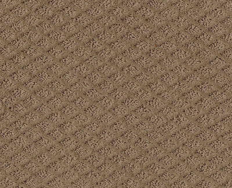 Final Thought Raw Wood Nylon Carpet - Pattern
