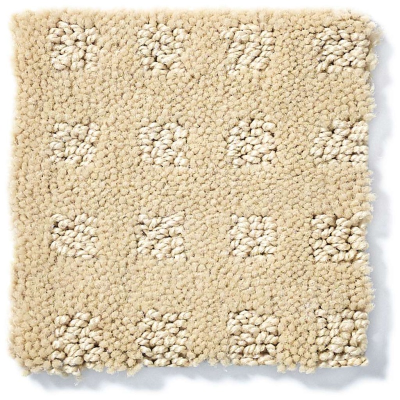 Foundations Alluring Disposition Golden Rule Nylon Carpet - Pattern