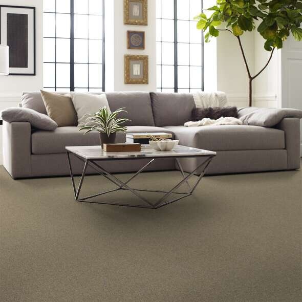 Soft Shades My Choice I Clay Stone Nylon Carpet - Textured