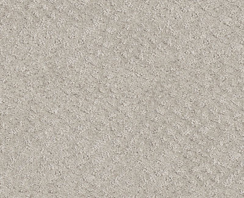 Mod Beauty Winters Dawn Nylon Carpet - Loop