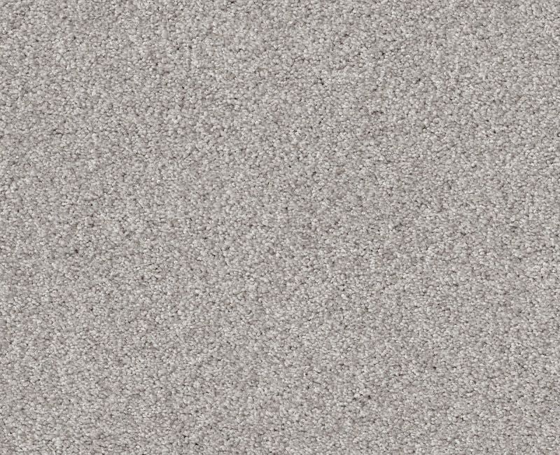 Simple Life Vapor Nylon Carpet - Textured
