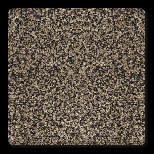 Venice Bark Polyester Carpet - Textured