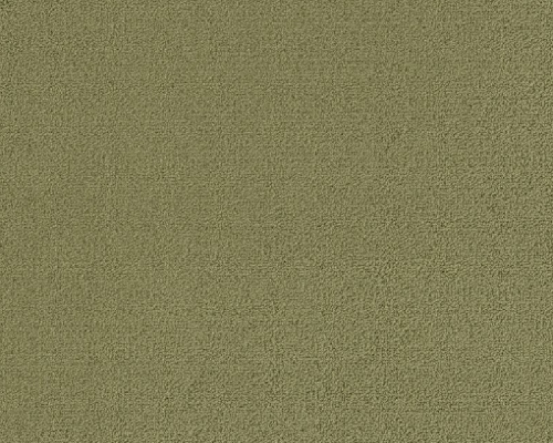 Color Accents BL Fescue Nylon Carpet - Loop