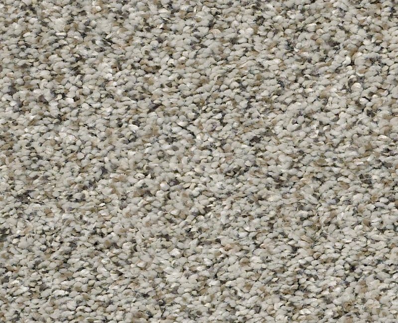 Watts Up Ii Silversmith Polyester Carpet - Textured