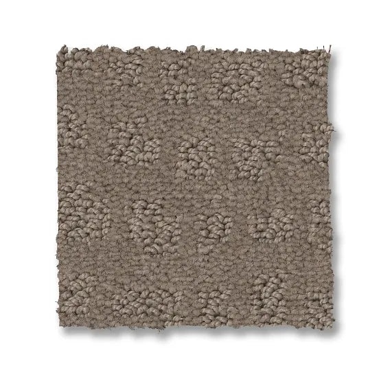 Reawaken Solstice Shitake Nylon Carpet - Loop