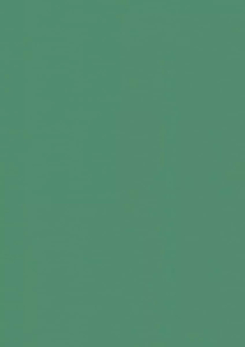 Linofloor Xf2 Elle Basil (056) Linoleum