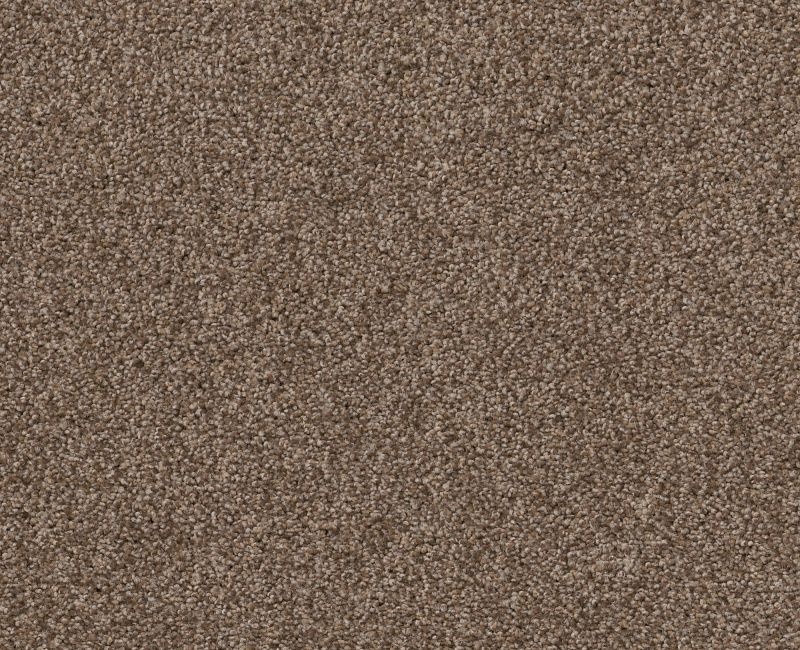 Simple Life Classic Caramel Nylon Carpet - Textured
