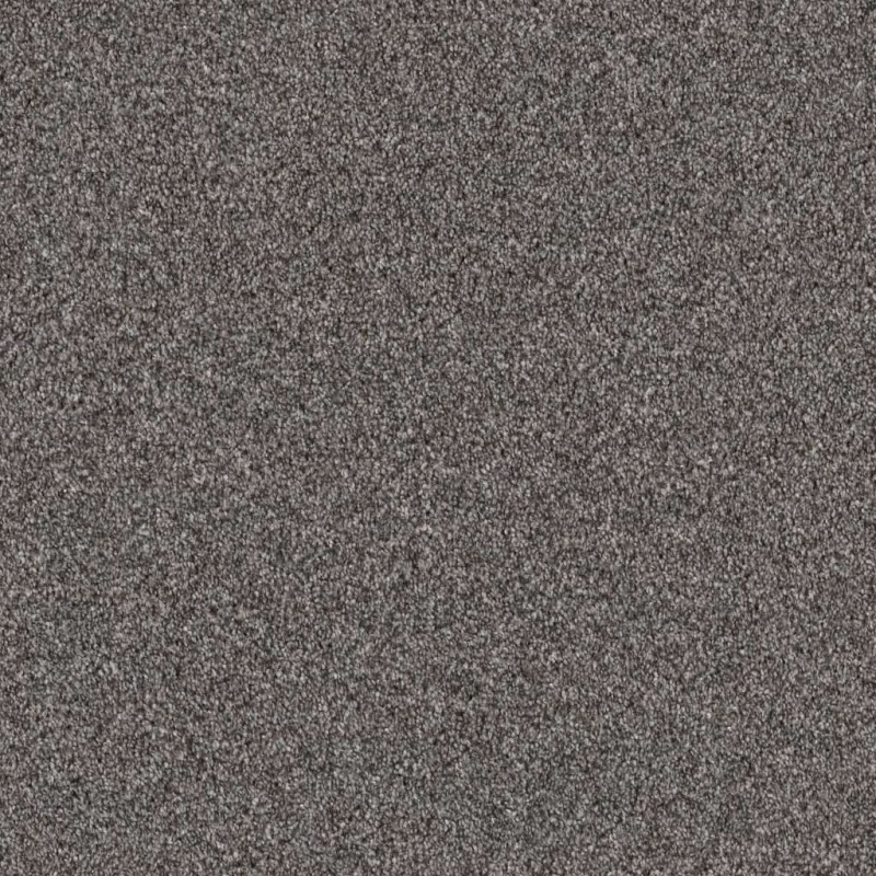 Pet Perfect Influencer Sentimental Polyester Carpet - Textured
