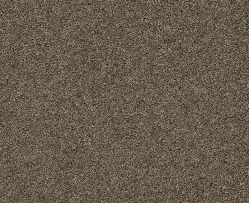 Detailed Elegance III Flax Nylon Carpet - Loop