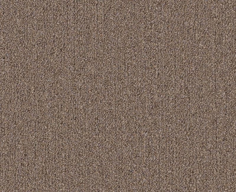 Clearance Sale! Profusion 26 Excess Polyester Carpet - Loop