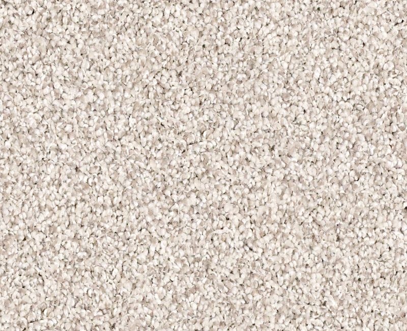 Palatial Parchment Nylon Carpet - Textured
