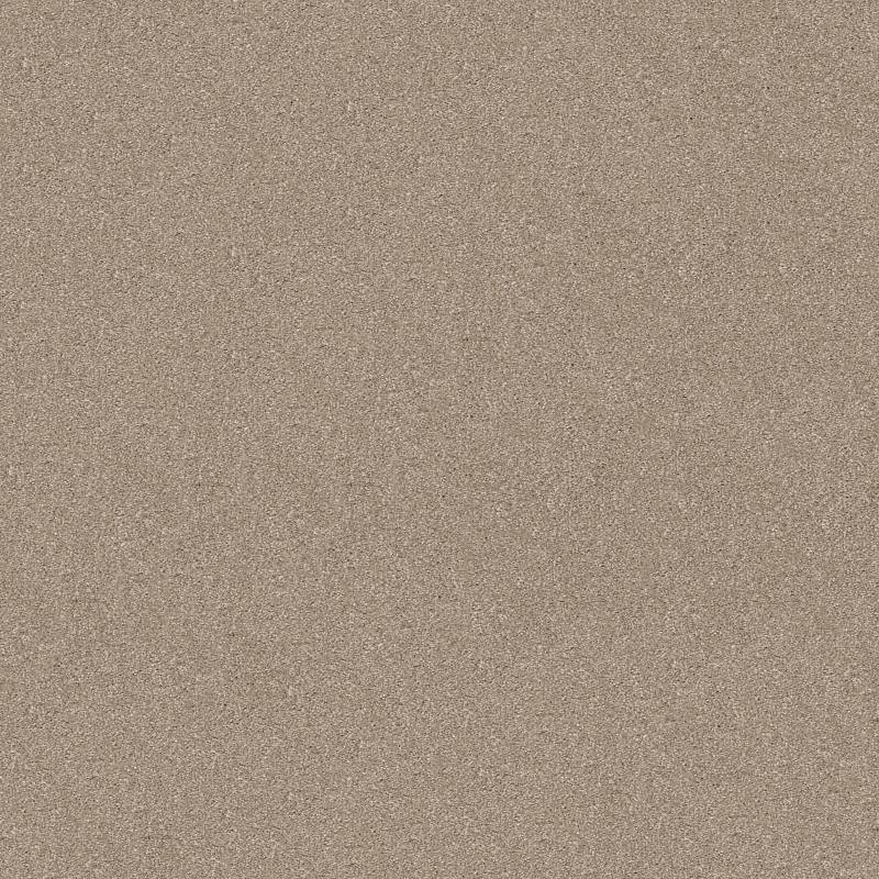 Anso Open I (S) Doeskin Nylon Carpet - Textured