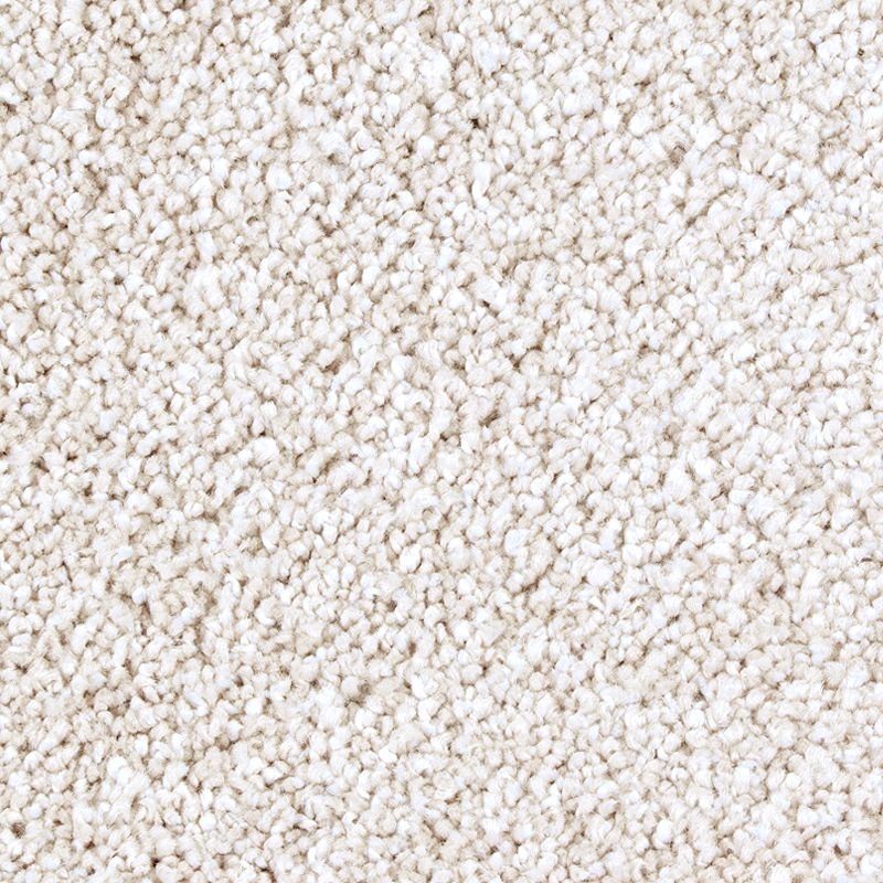 Exquisite Tones Fine Silk Triexta Carpet - Textured