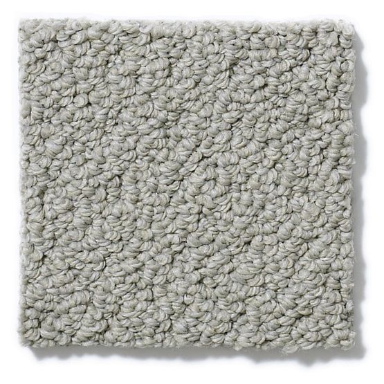 Pet Perfect On Point Driftwood Nylon Carpet - Loop
