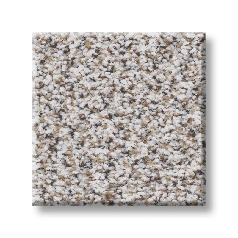 Foundations Elemental Mix I Whitewash Nylon Carpet - Textured