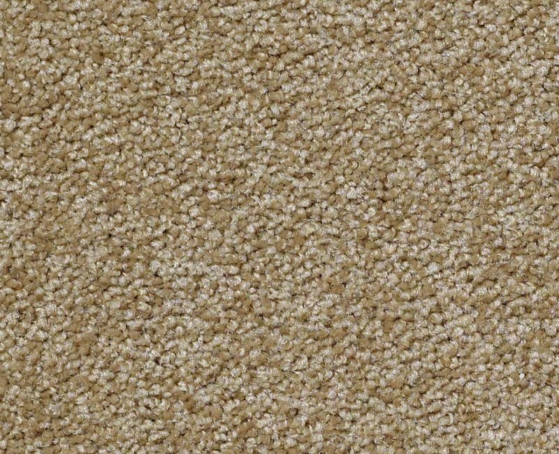 Great Choice Starcrest Nylon Carpet - Textured