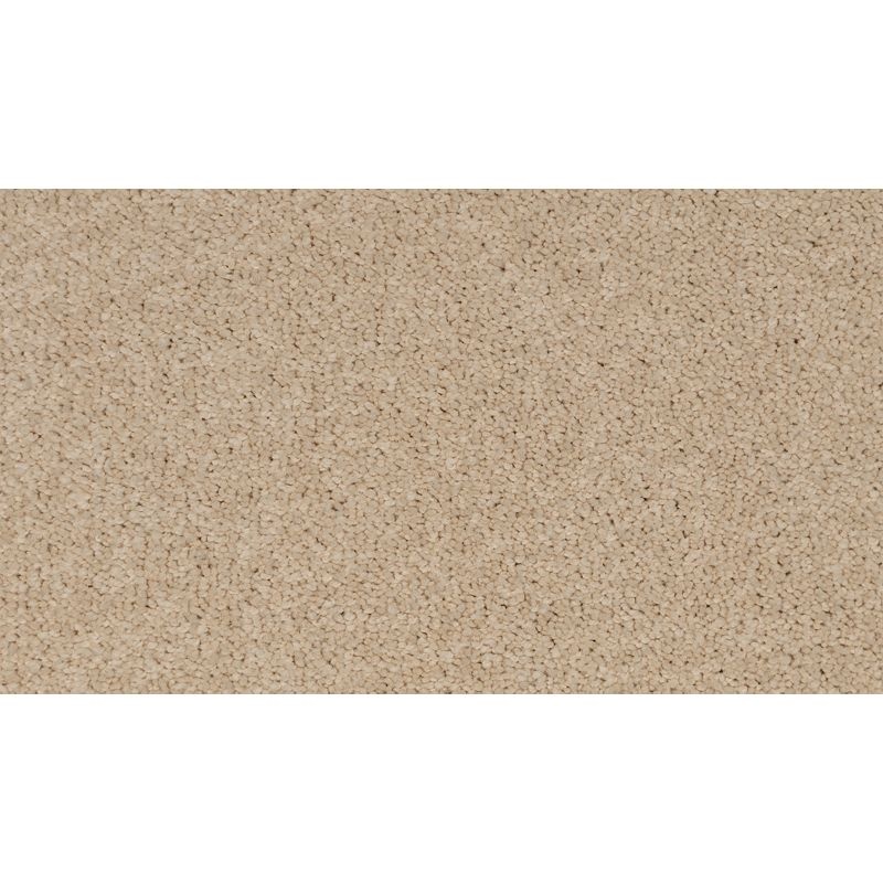 Coastal Fashion I Dune Nylon Carpet - Textured