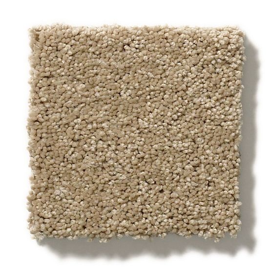 Free Form Coronado Nylon Carpet - Textured