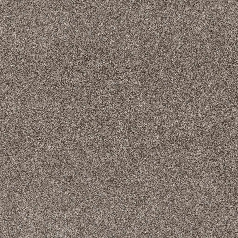 Pet Perfect Yes You Can III 15' Warm Light Polyester Carpet