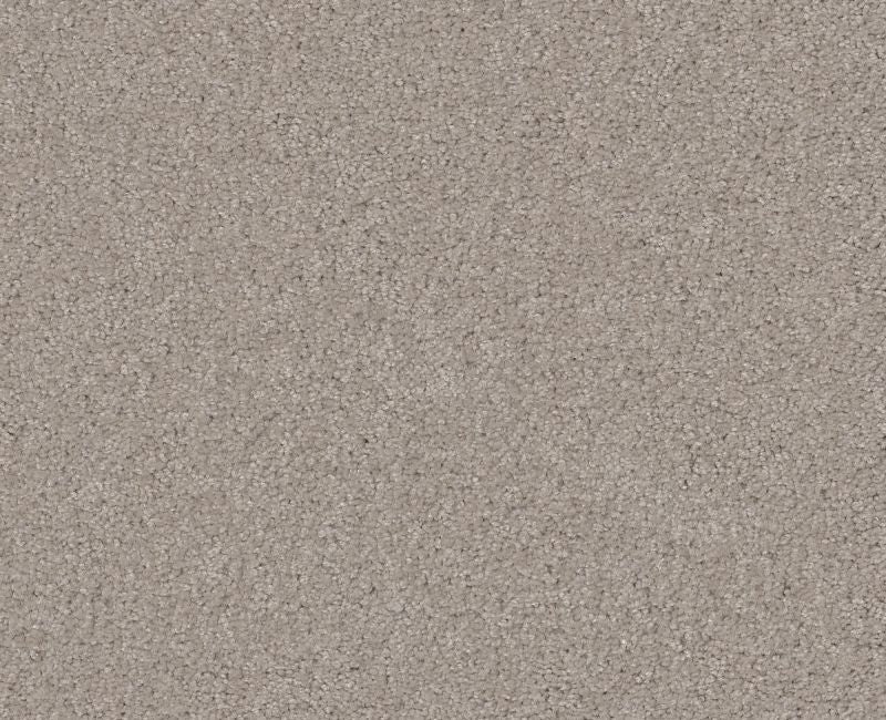 Detailed Elegance Ii Natural Nylon Carpet - Loop