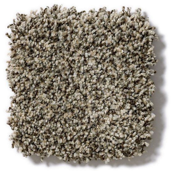 Pet Perfect Mollie's Turn Slate Escape Nylon Carpet - Textured