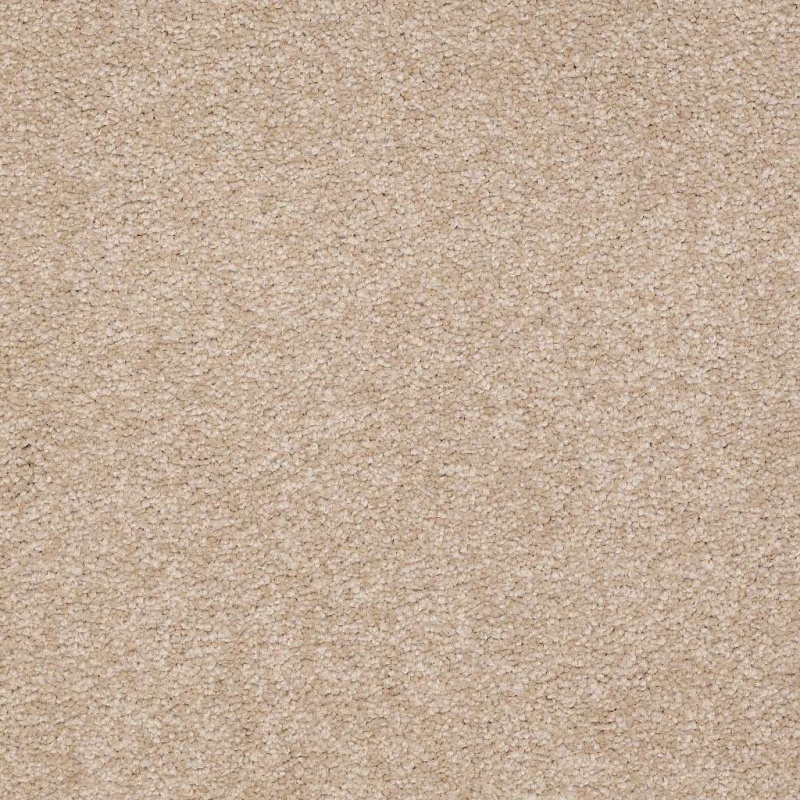 Magic At Last Iv 12 Shell Nylon Carpet - Textured