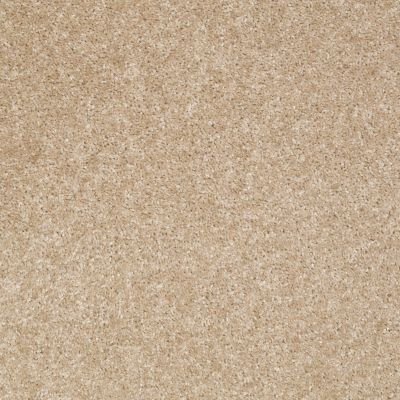 Bonita River's Edge Nylon Carpet - Textured