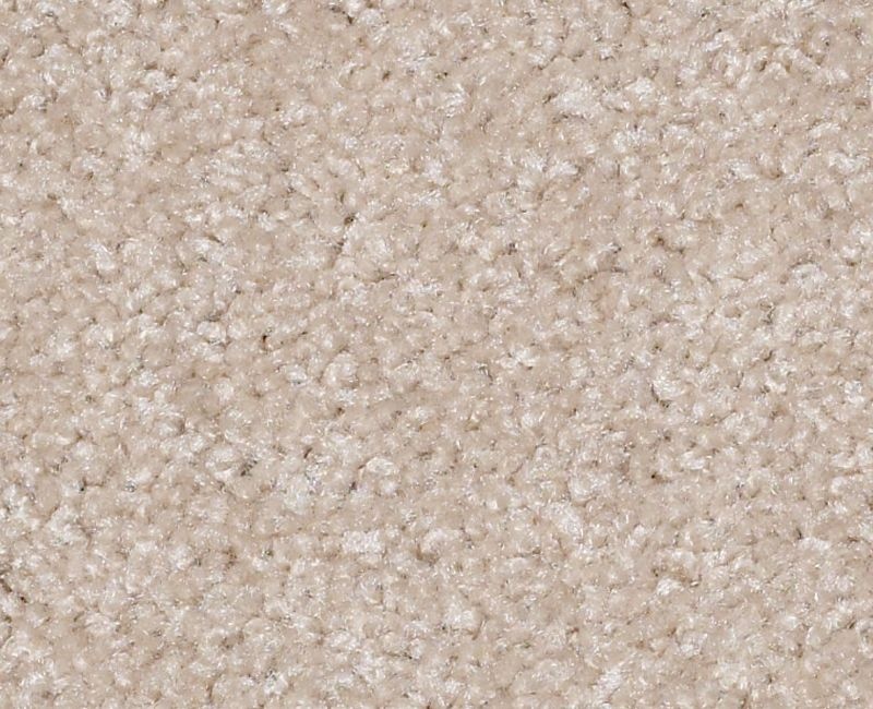 Roadrunner Ii Utterly Beige Nylon Area Rug - Textured
