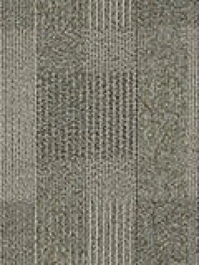 Square Deal Pledge Textured Nylon Carpet