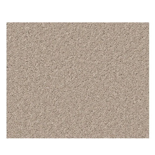 Smooth Talk II Bare Mineral Polyester Carpet